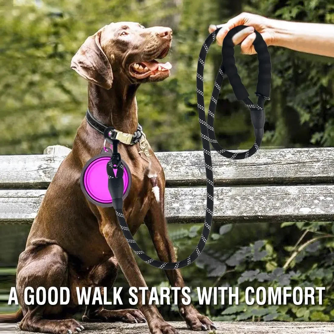 Strong dog leash – reflective for small, medium & large dogs, golden retriever™