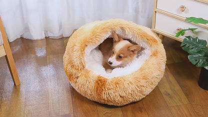 Warm and Comfy Bed for Cats™