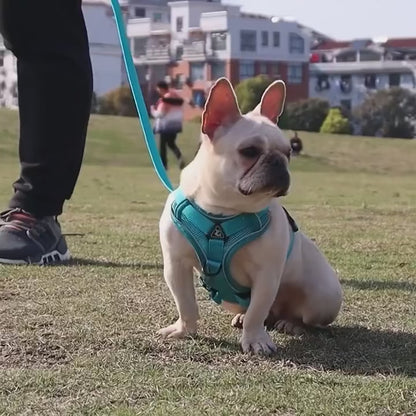 Reflektierendes Haustiergeschirr – verstellbare Trainingsweste & Leine für kleine Hunde, Chihuahua, Yorkie™